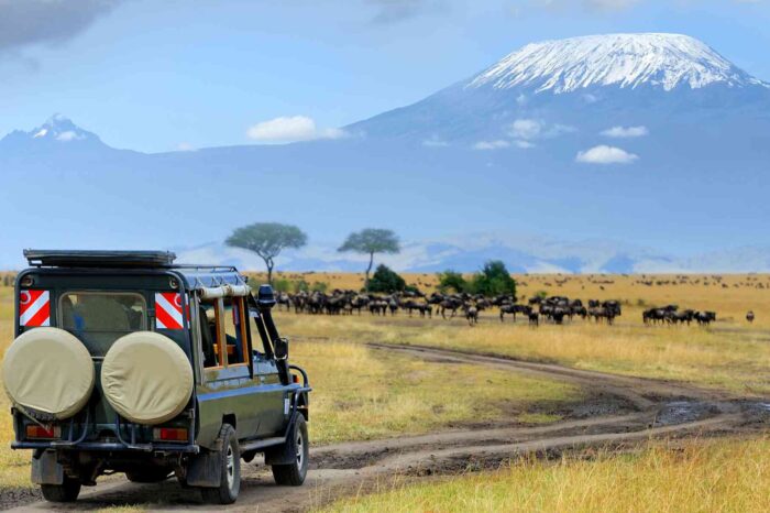 6DAYS/5NIGHTS MOUNT KILIMANJARO MACHAME ROUTE