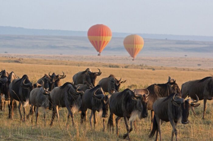 4DAY/ 3NIGHTS WILDLIFE SAFARIS